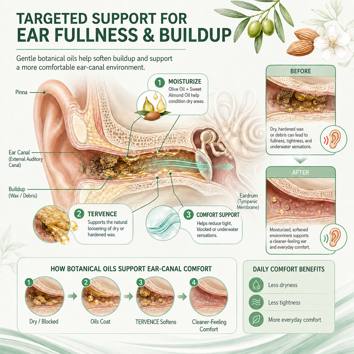 TERVENCE® Advanced Hearing Support Drops👂✨ — image 9