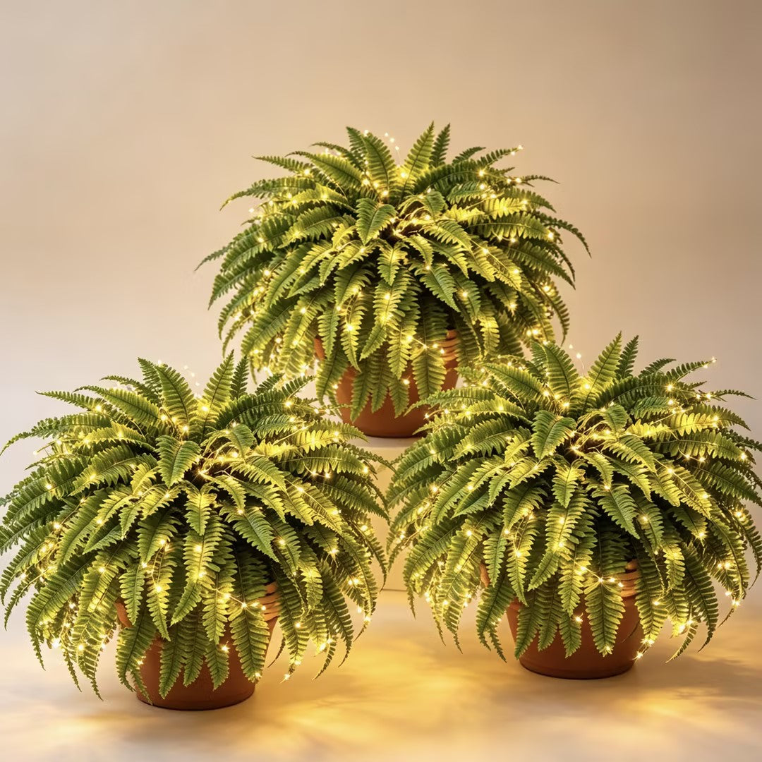 💛Glowing Boston Ferns with Lights – 🌿 Zero Watering, Zero Maintenance — image 12