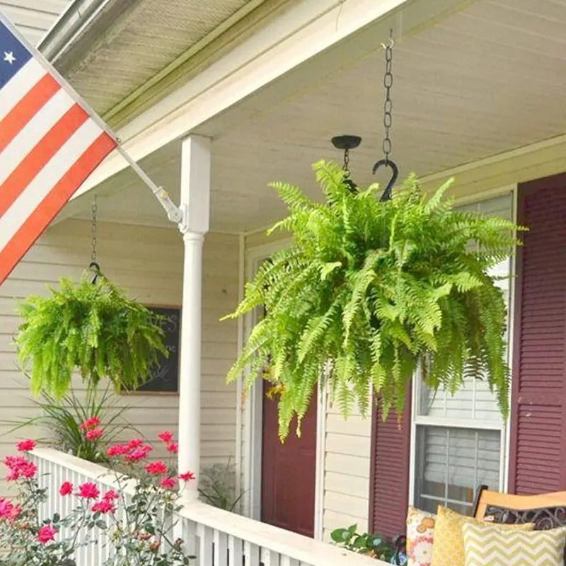 💛Glowing Boston Ferns with Lights – 🌿 Zero Watering, Zero Maintenance — image 10